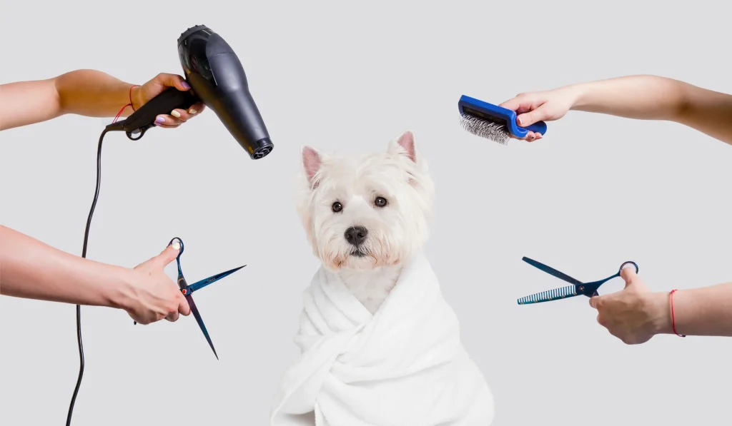 The Daily Bark 5 dog grooming tools for beginners cover
